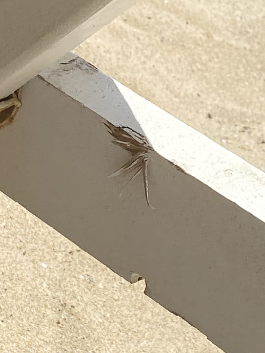 Strand Anemos Luxury Grand Resort