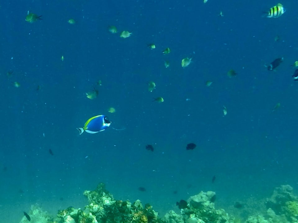 Sport & Freizeit Cinnamon Dhonveli Maldives