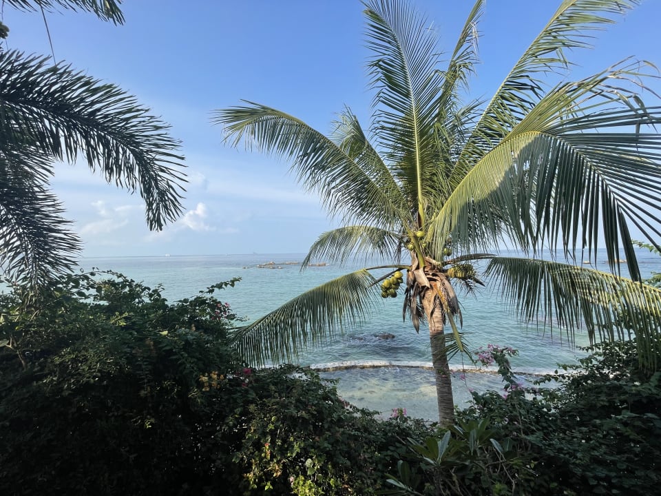 Ausblick Zama Resort