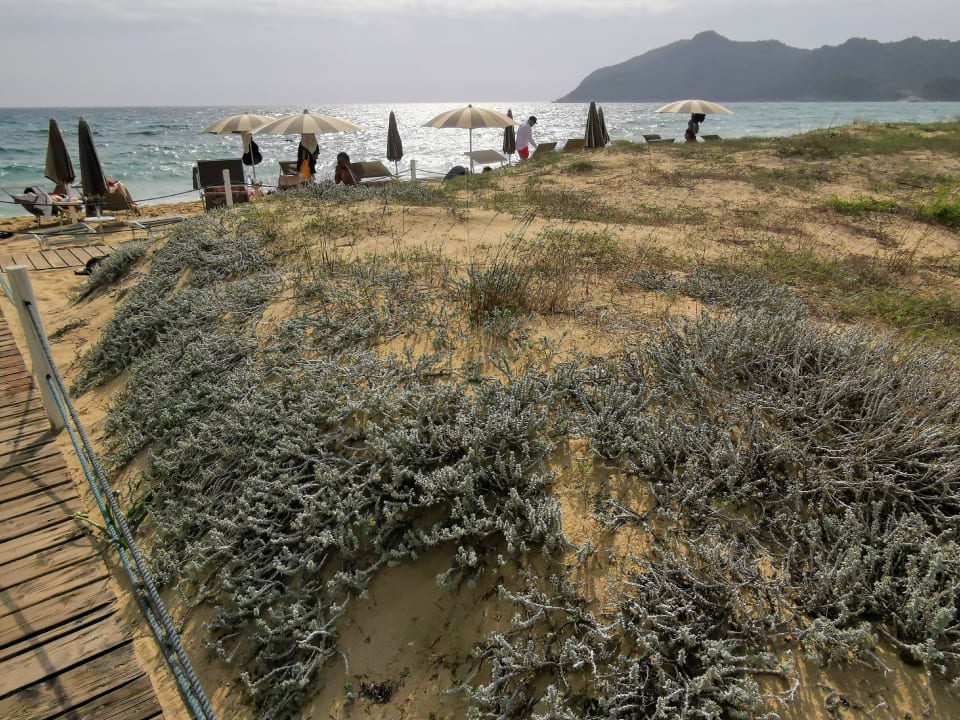 Strand Hotel Garden Beach Cala Sinzias
