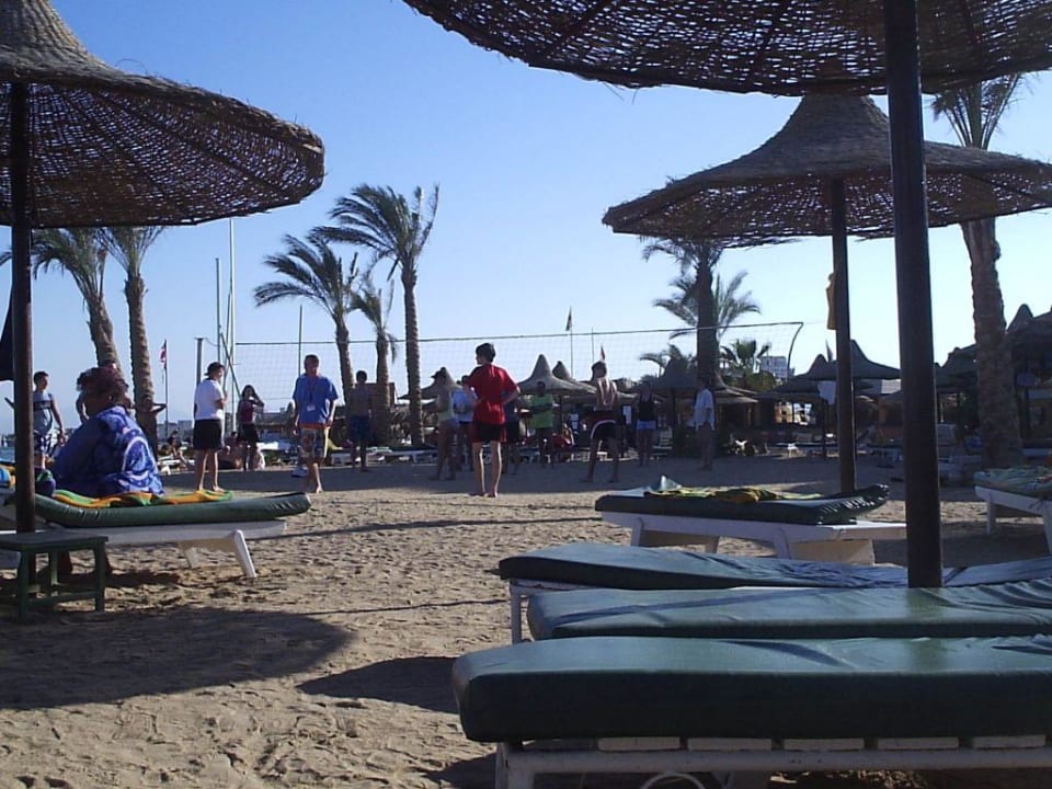 Animation Giftun Azur Resort