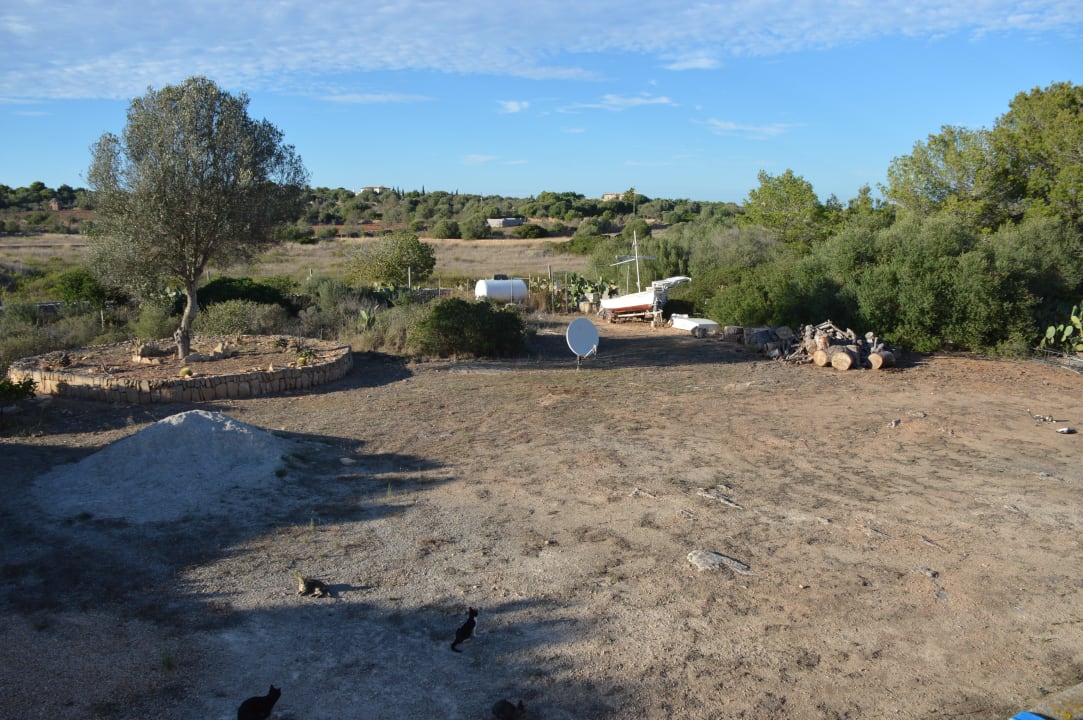 Hinter dem Haus Finca Es Carbó