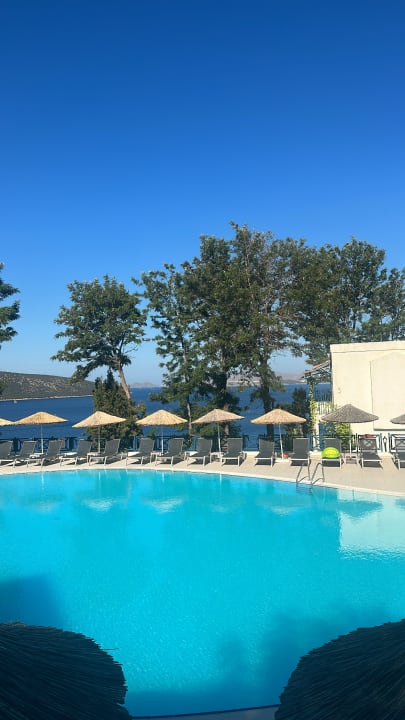 Pool Bodrum Holiday Resort & Spa