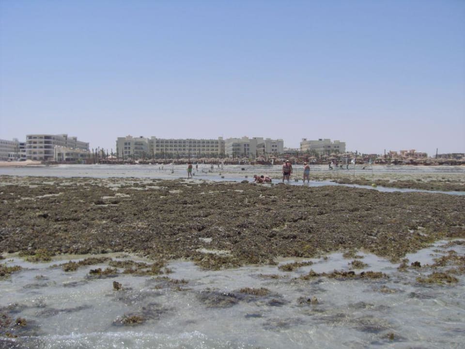 Hotelstrand bei Ebbe Le Jardin Aqua Park Resort