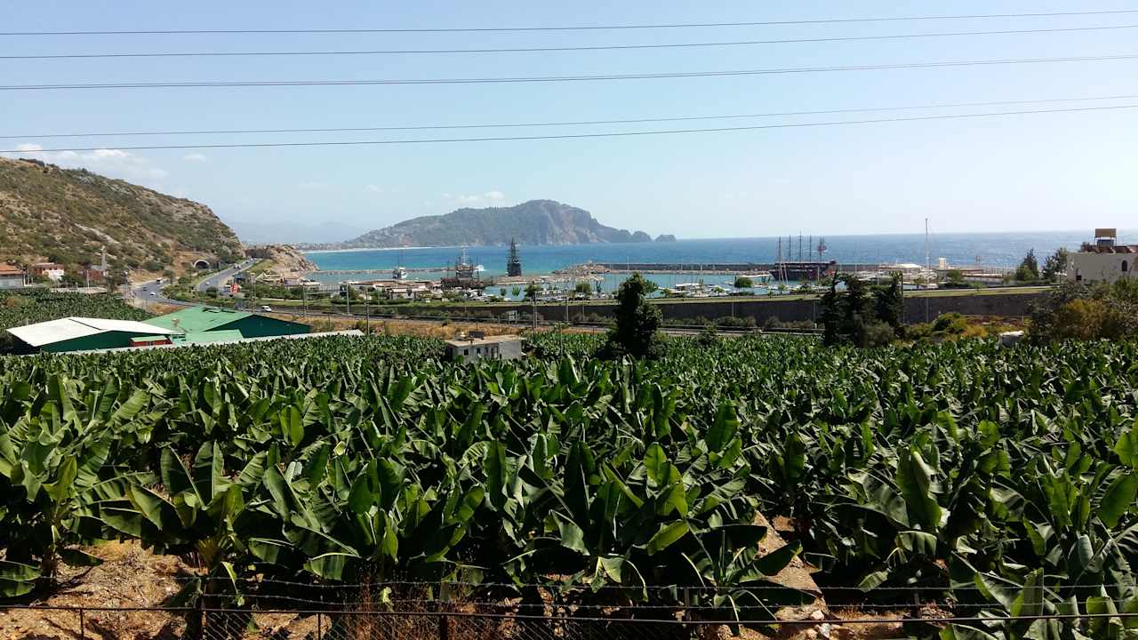 Ausblick La Finca Marina