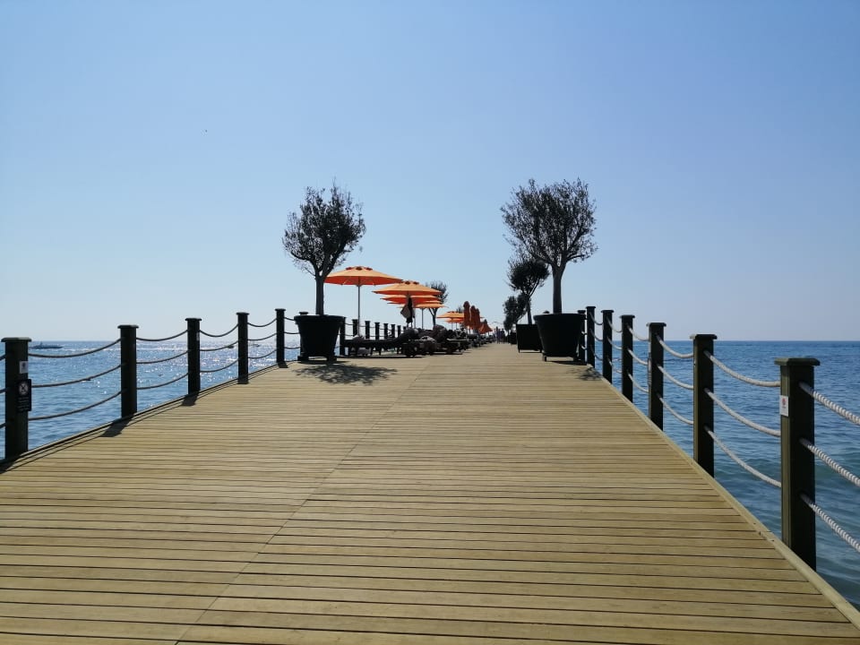 Strand Arum Barut Collection