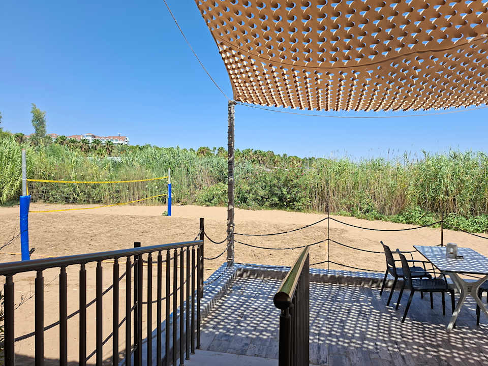 Strand Seashell Vega