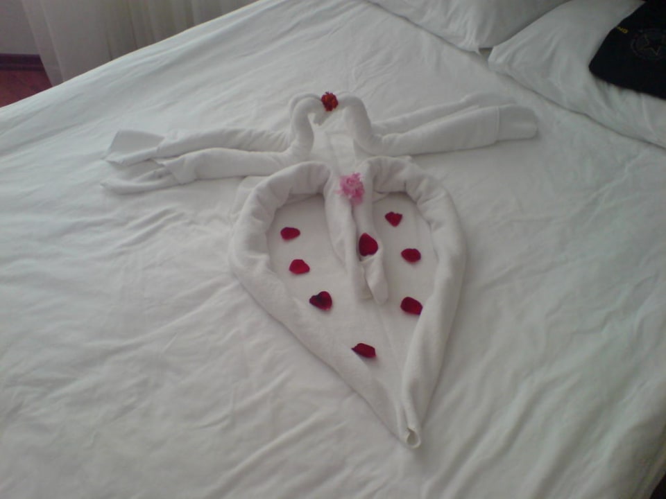 Dekoration im Zimmer Botanik Hotel & Resort