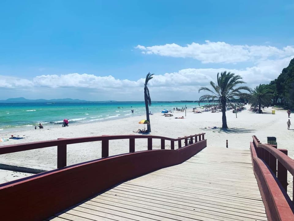 Strand allsun App.-Hotel Orquidea Playa