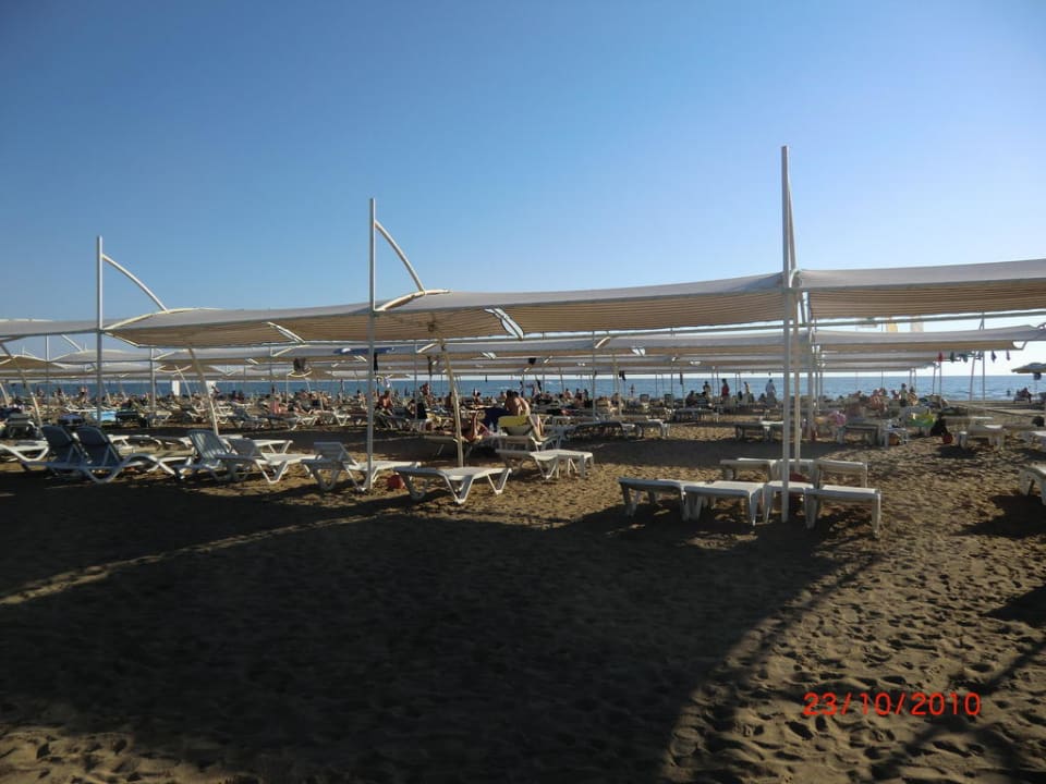 Liegen mit Sonnenschutz TUI BLUE Xanthe