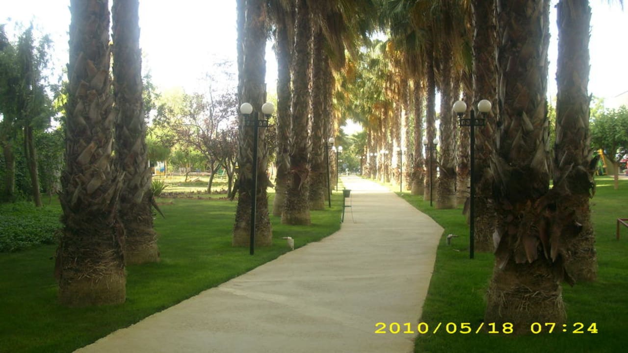 Weg zum Strand Hotel Gardenia Beach