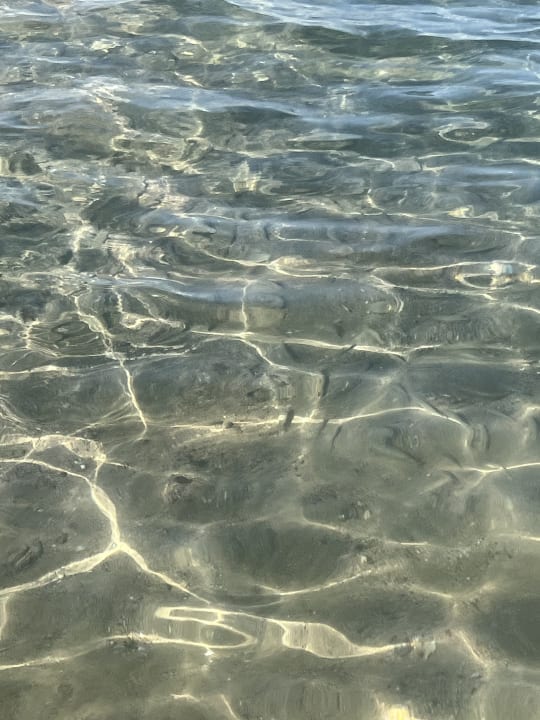 Strand Jaz Makadi Oasis Resort