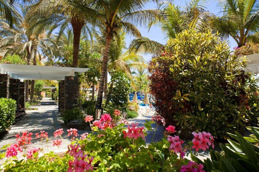 Jardin Palm Oasis Maspalomas