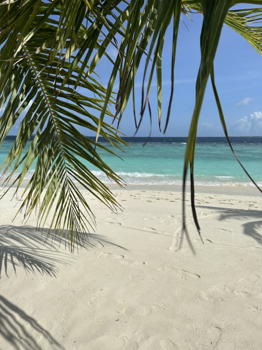 Strand Adaaran Select Meedhupparu Island Resort - Premium All Inclusive