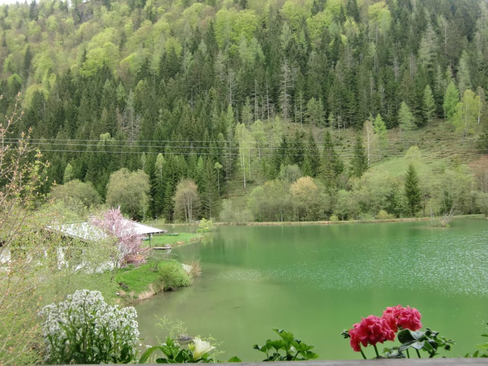 Blick vom Balkon über den See zum Seehäusl Gasthof Griesenau