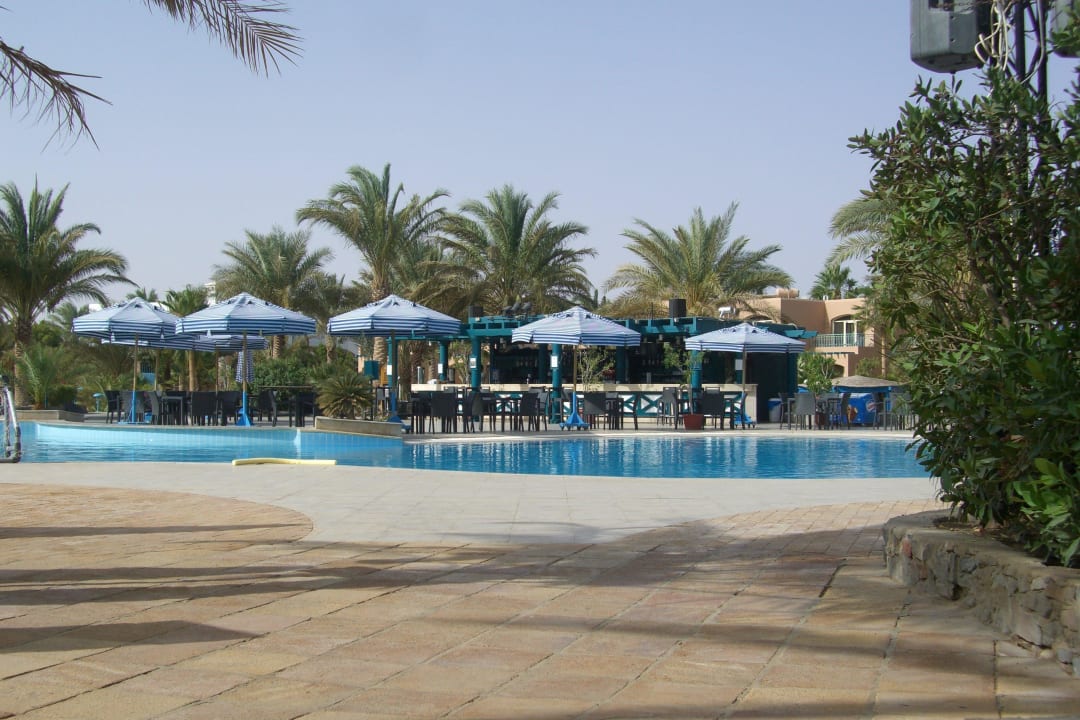Schön angelegt Club Paradisio El Gouna, Red Sea