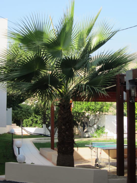 Hotelanlage Eurohotel Katrin Hotel & Bungalows