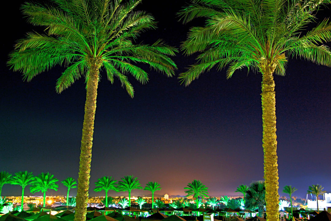 Zimmeraussicht !  SUNRISE Royal Makadi Resort