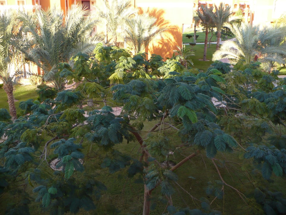 Вид из номера Sentido Caribbean World Soma Bay