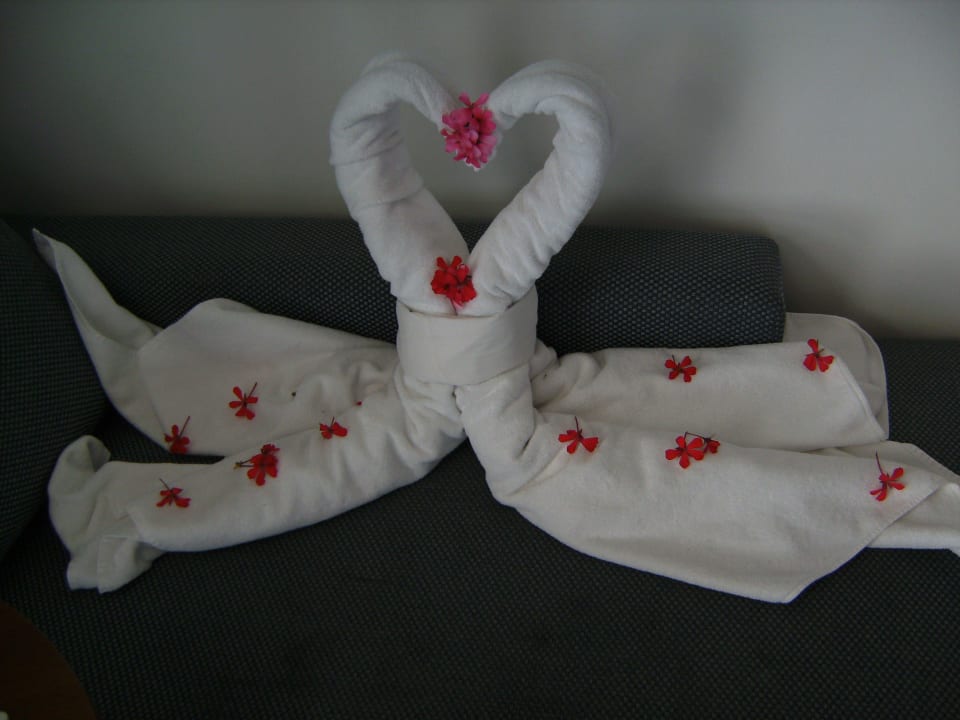 Ette Geste vom Zimmermädchen Dreams Jardín Tropical