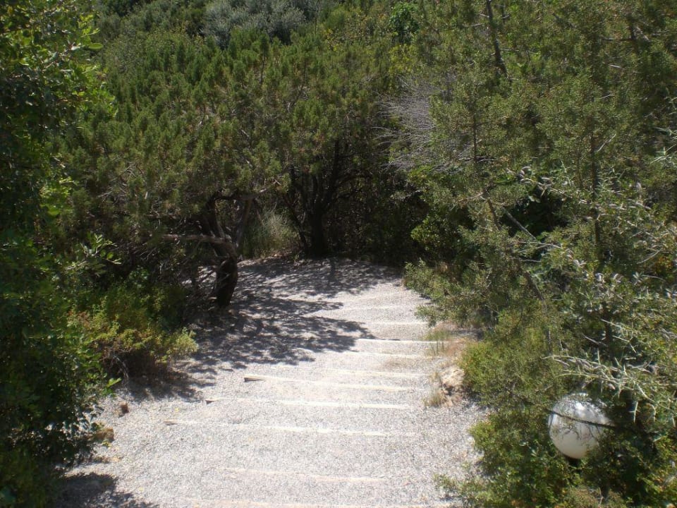 Weg zum Strand Rodos Princess Beach Hotel & Spa