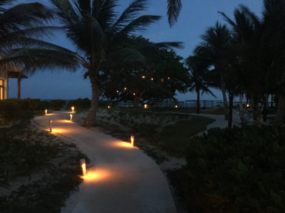 Gartenanlage Akumal Bay Beach & Wellness Resort