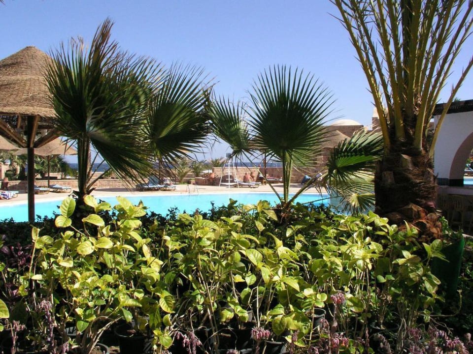Aussenanlage Mövenpick Resort El Quseir
