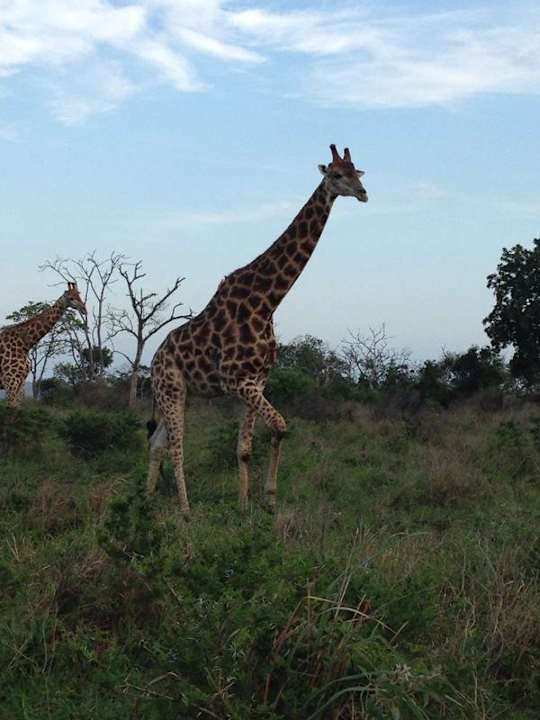 Safari Three Cities Makakatana Bay Lodge
