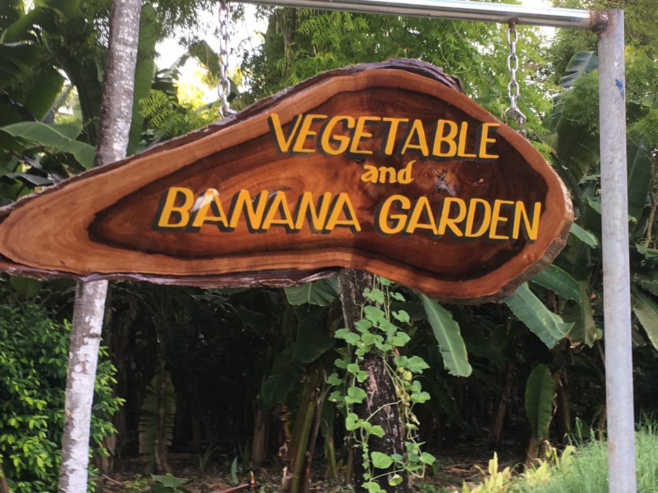 Gartenanlage Adaaran Select Hudhuran Fushi - Premium All Inclusive