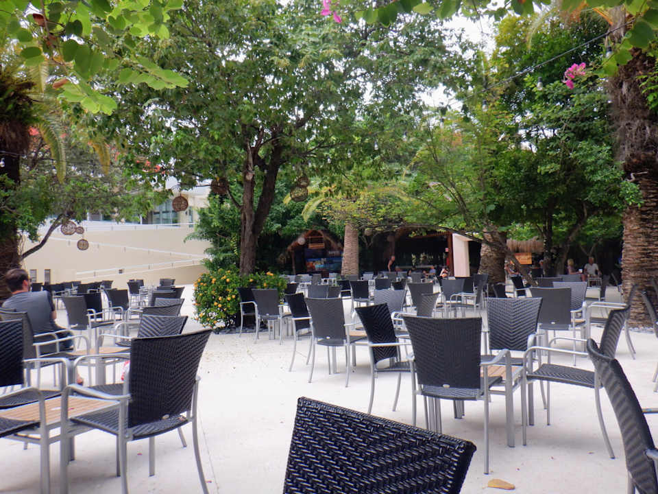 Gastro Viva Maya by Wyndham - All Inclusive Resort