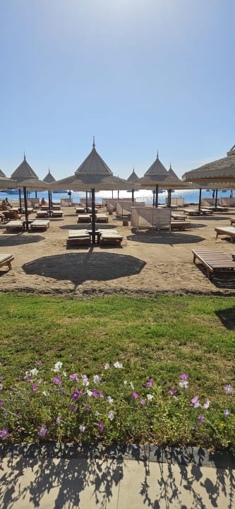 Strand The Grand Palace - Adults only