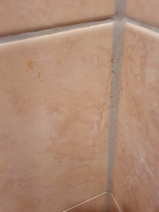 Zimmer Seehotel Schloss Klink