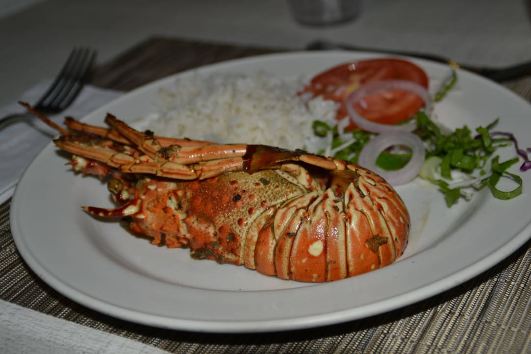 Tolles Essen beim BBQ. Wyndham Alltra Samana