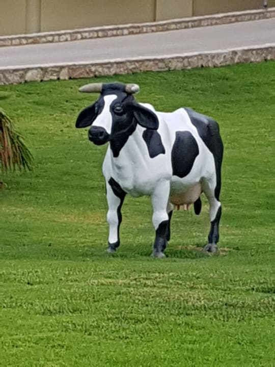 Kuh Elsa Hotel Kalithea Horizon Royal