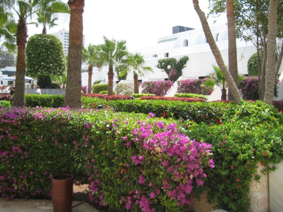 Die Gartenanlage Royal Decameron Tafoukt Beach