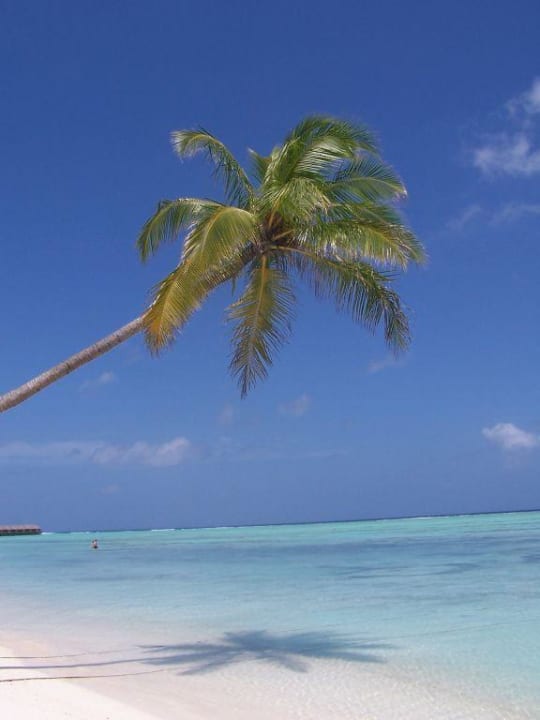 Maledivisch Meeru Maldives Resort Island