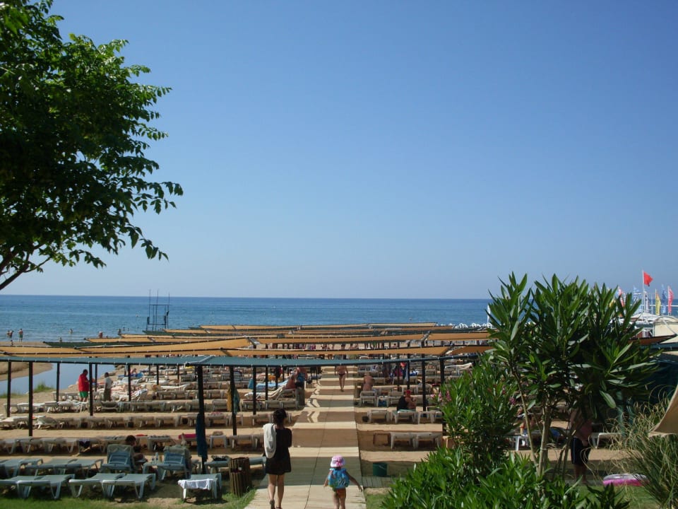 Hoteleigener Strand direkt hinter Hotelanlage Royal Atlantis Spa & Resort