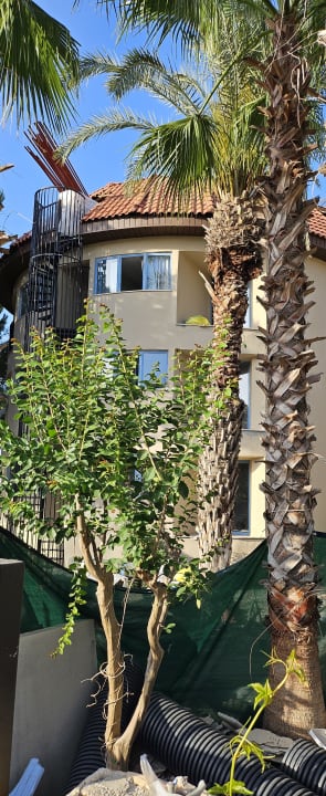 Gartenanlage allsun Numa Club Side