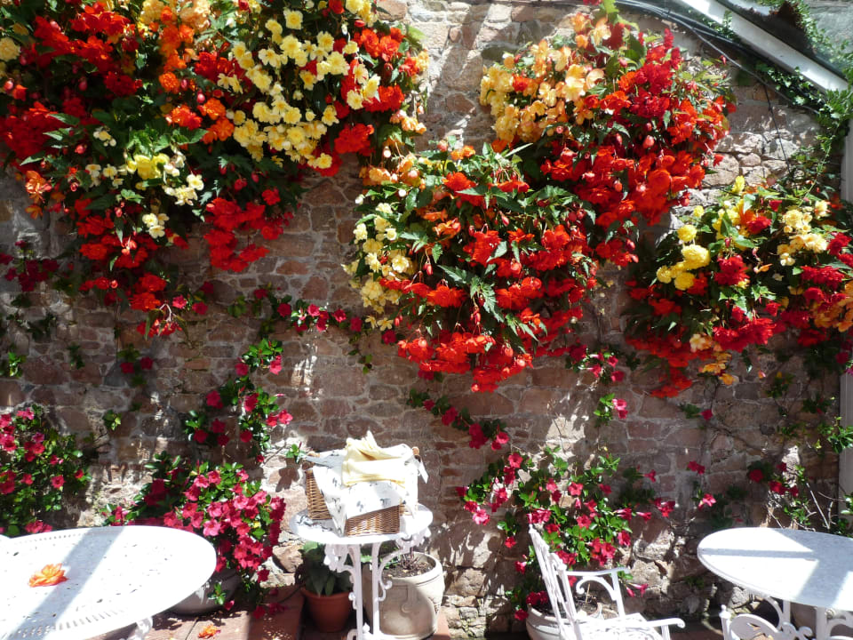 Gartenanlage Panorama Guest House