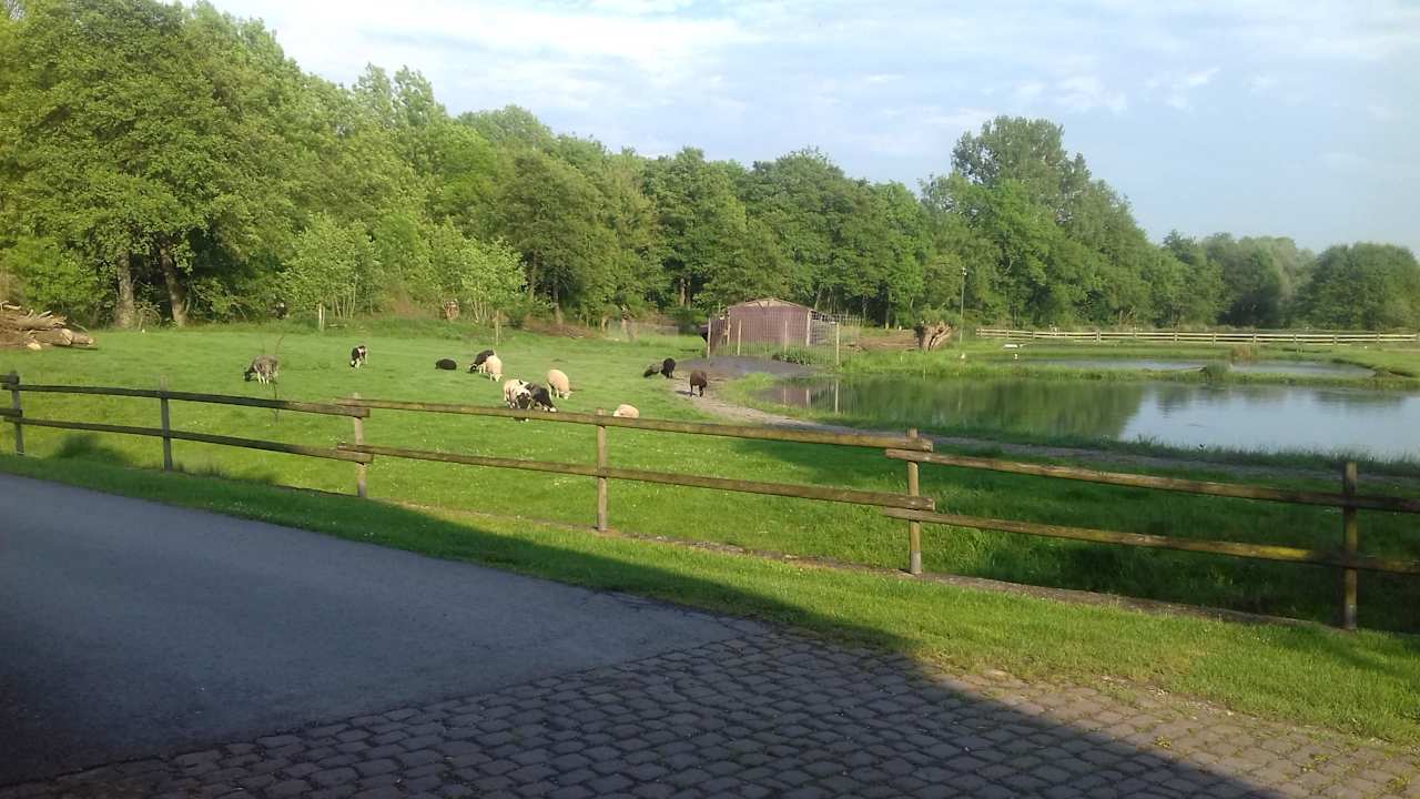 Ausblick Pension Obermühle Beine