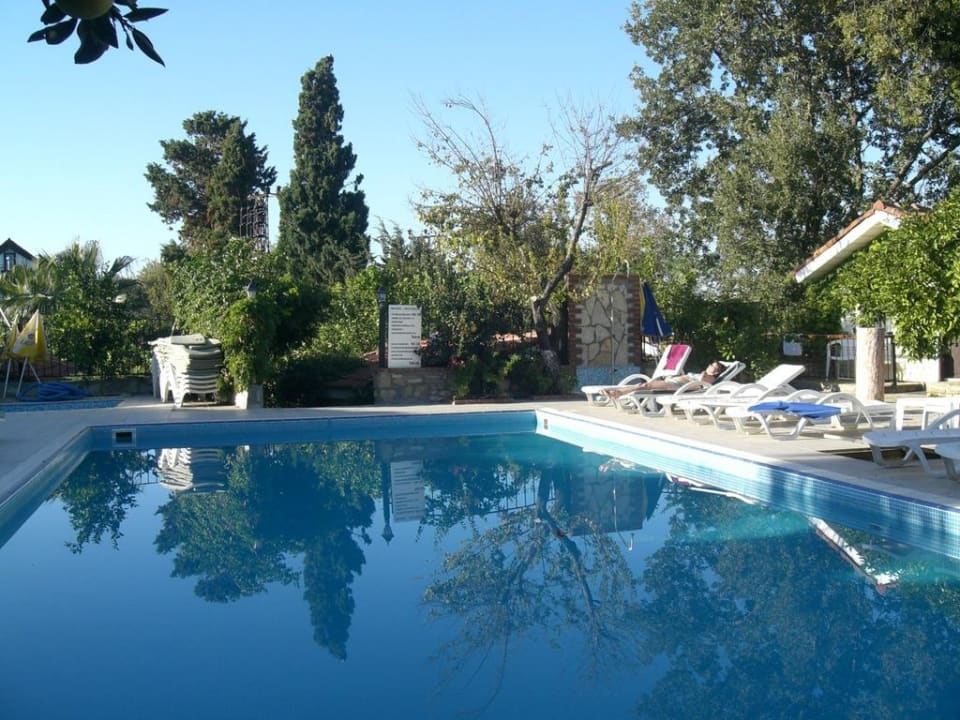 Morgens am Pool Leda Beach Hotel