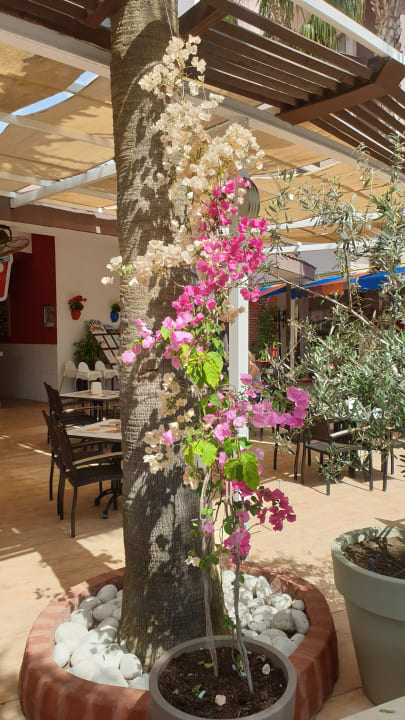 Gastro Hane Family Resort