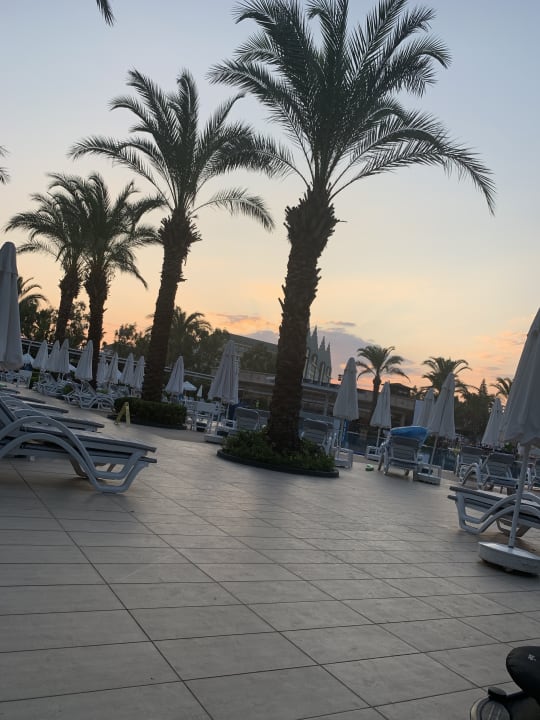 Pool Hotel Delphin Palace