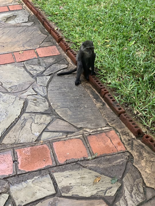 Gartenanlage Baobab Beach Resort & Spa