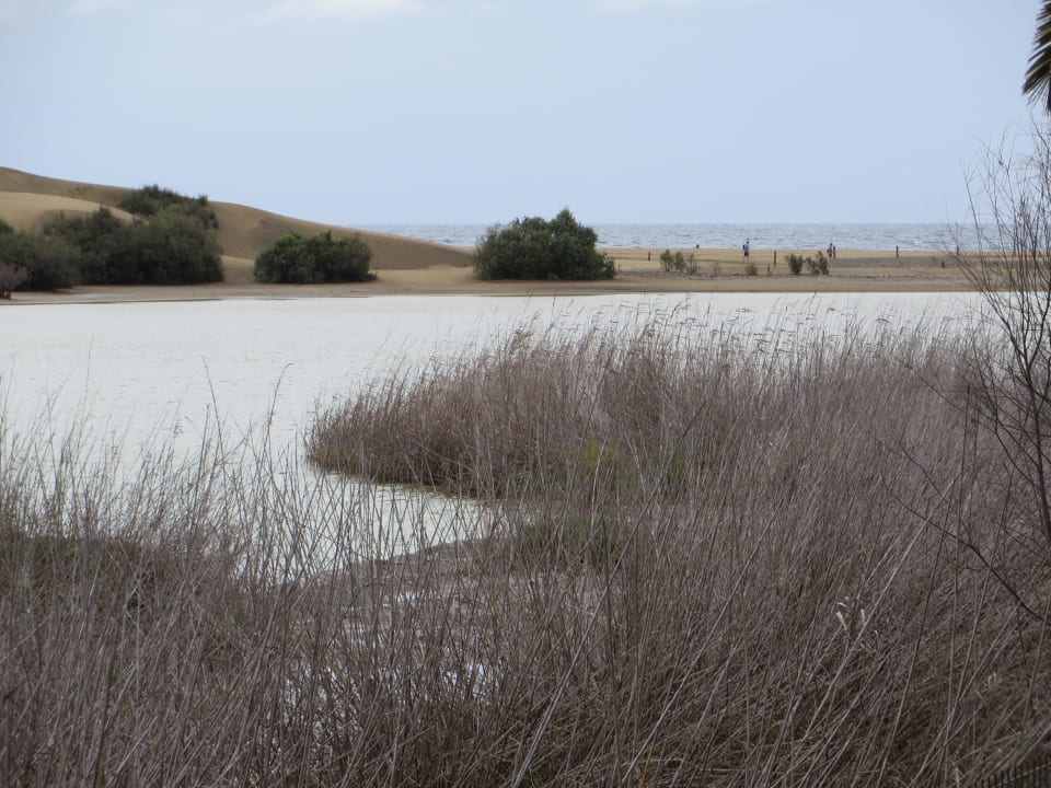 Maspalomas Strand Bungalows Cordial Sandy Golf