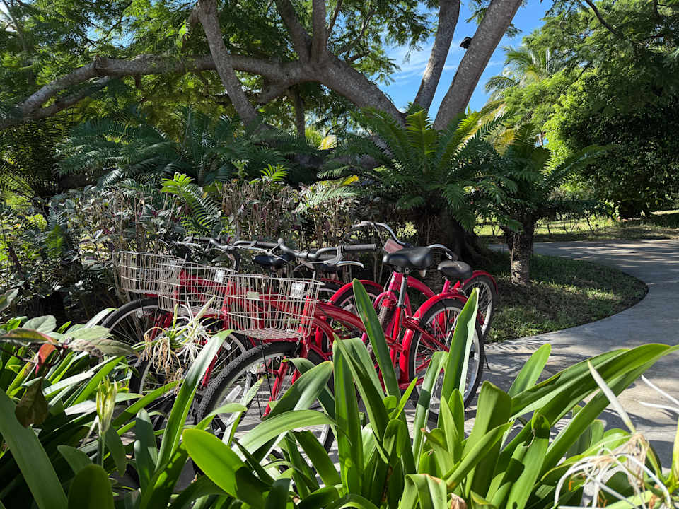Zimmer The Residence Zanzibar