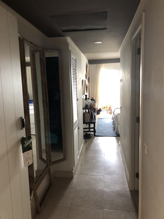 Zimmer Dreams Jardín Tropical