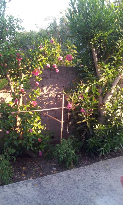 Teil Gartensicht Hotel Laura