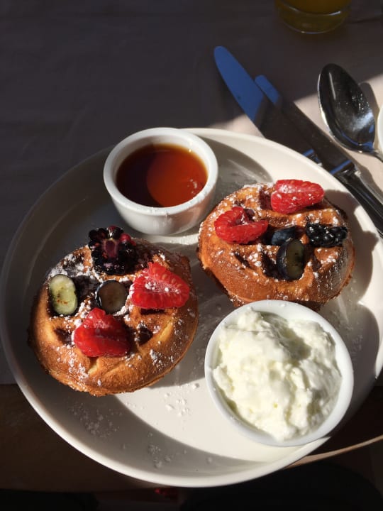 Gastro Sani Asterias