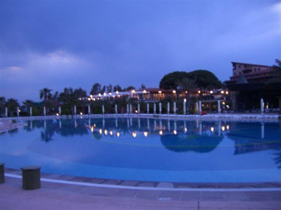 Pool Papillon Belvil